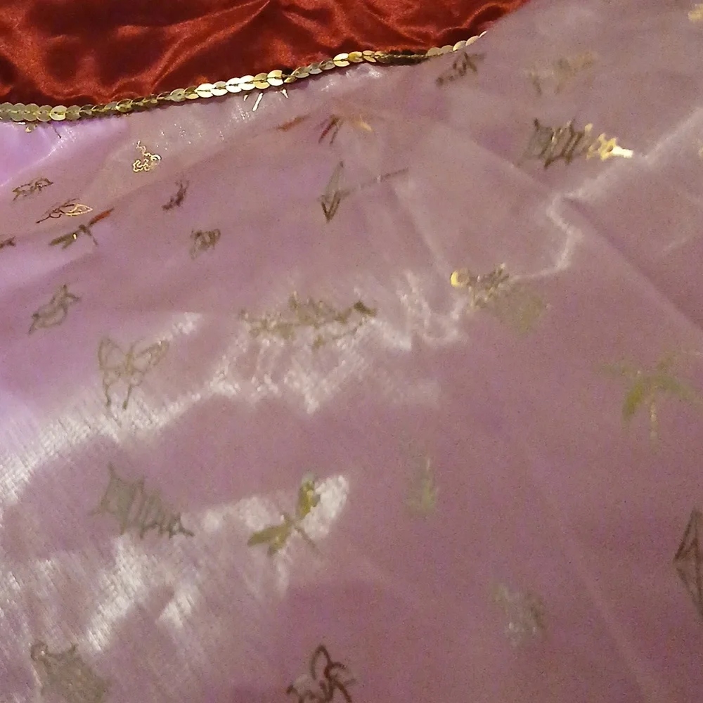 Disney Princess Mulan Dress Costume